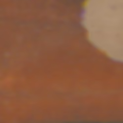 TokenID 1106