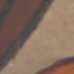 TokenID 2526