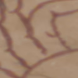 TokenID 2248