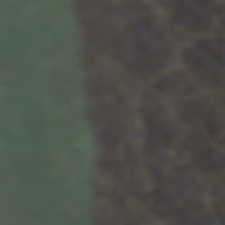 TokenID 2765