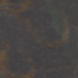 TokenID 1443