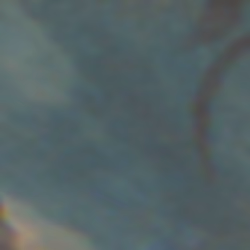 TokenID 1894