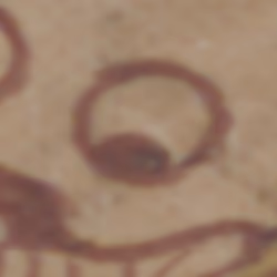 TokenID 3239