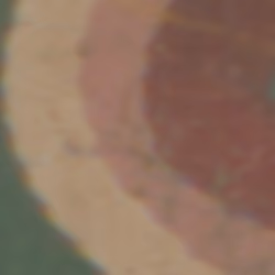 TokenID 4342