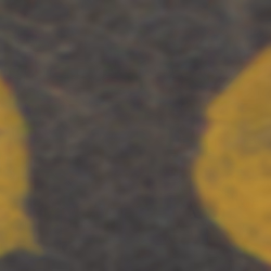 TokenID 755