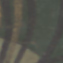 TokenID 1325