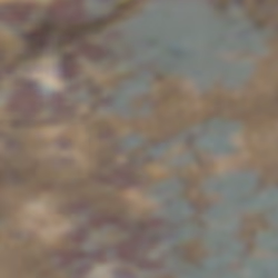 TokenID 429