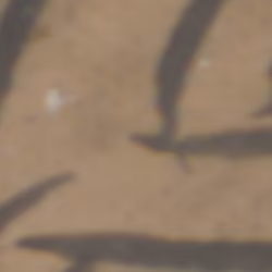 TokenID 1711