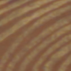 TokenID 3893