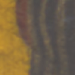 TokenID 2244