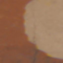 TokenID 1126