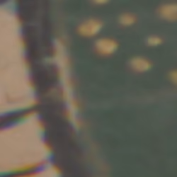 TokenID 1880