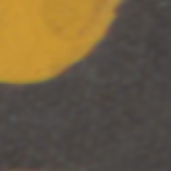TokenID 4338