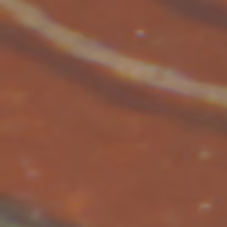 TokenID 4292