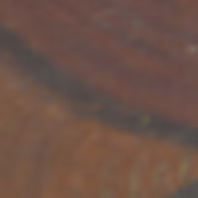TokenID 2807