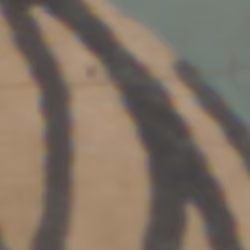 TokenID 1622