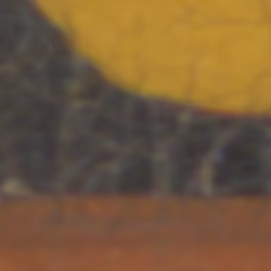 TokenID 889