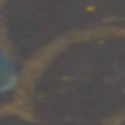 TokenID 3735