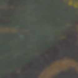 TokenID 1328