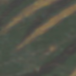 TokenID 4368