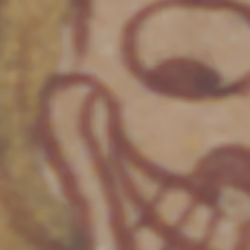 TokenID 3238