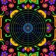 Symbiosis