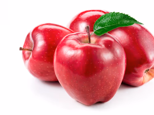 Item #53919893334301279589334030174039261347274288845081144962207220498433 Media