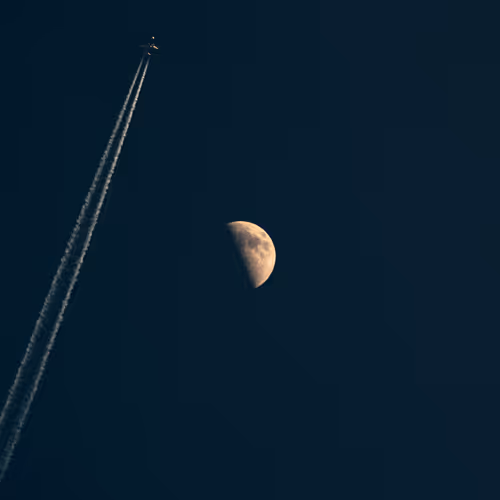 Wild Journey - Photography #2