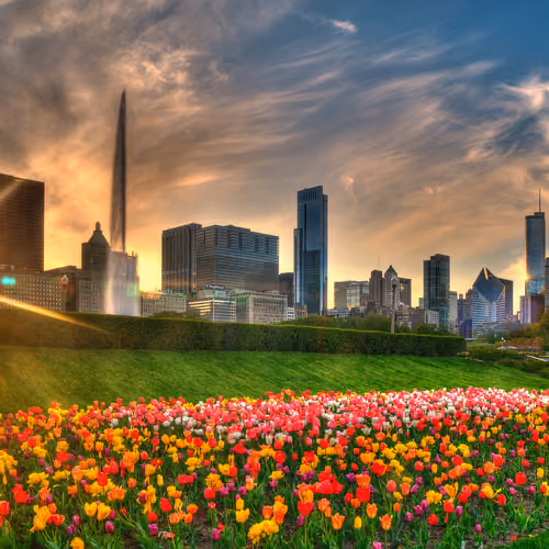 Urban Bloom