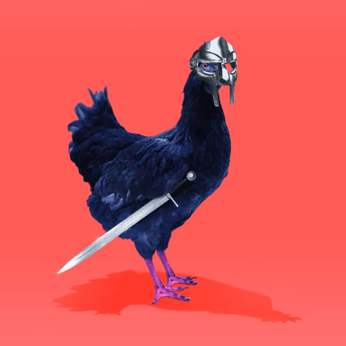 chikn #6565