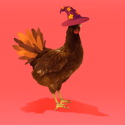 3537