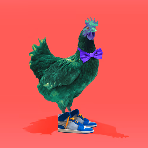 chikn #9899