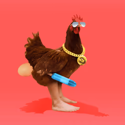 chikn #2434
