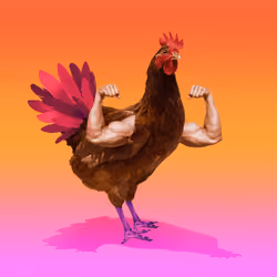 chikn #2477