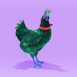 6602