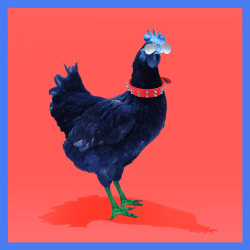 chikn #3598