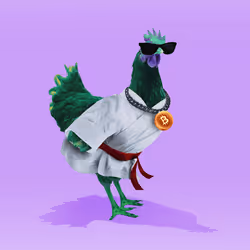 chikn #347