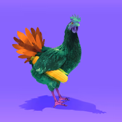 chikn #8943