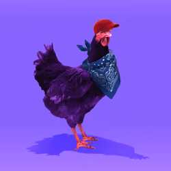 chikn #948