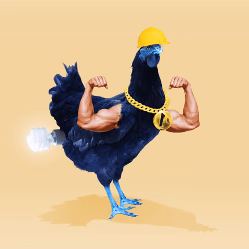 chikn #310