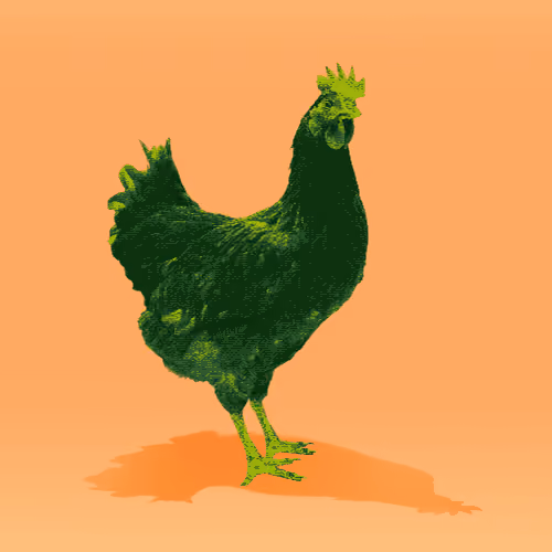 chikn #3327