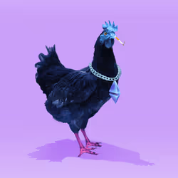 8326