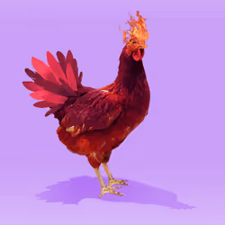 6636