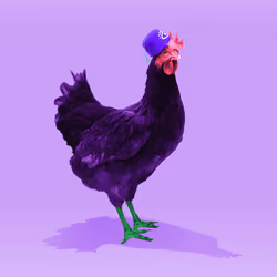 chikn #2737