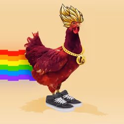 chikn #5413