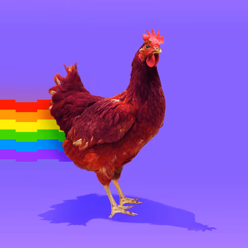 chikn #6797