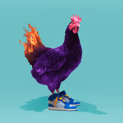 chikn #2476
