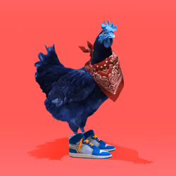 chikn #46