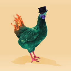 chikn #6244
