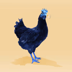 7937